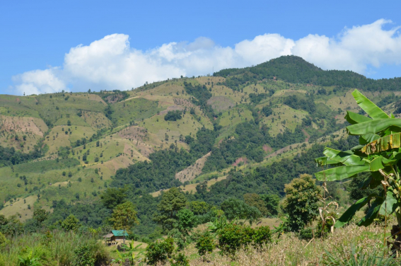 Forest loss in sloping lands replaced by agricultural plantation in Nan province, Thailand. (Image courtesy: Zhenzhong Zeng)